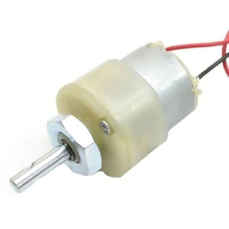 1000RPM 12V DC Motor