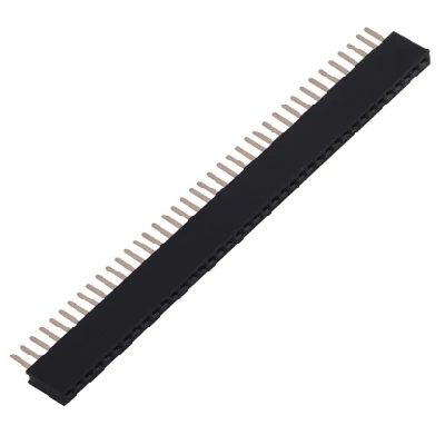 40x1 Female ...