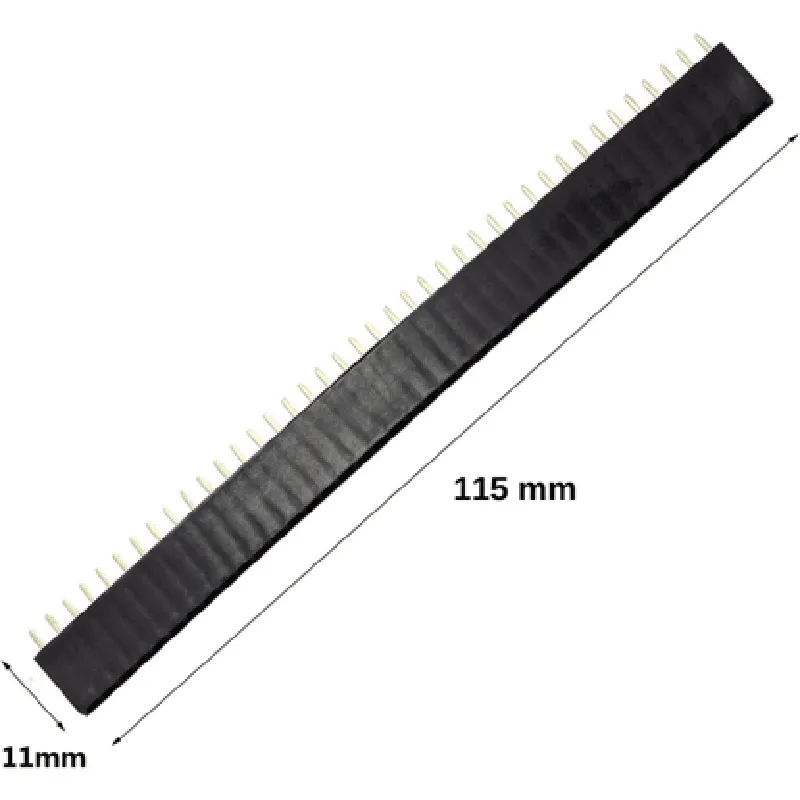 40x1 Female Berg Strip
