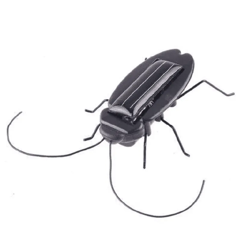 Solar powered Black Cockroach Bug Toy