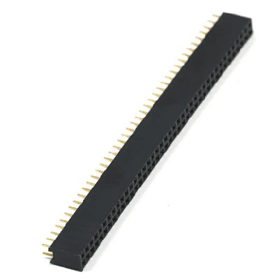 40x2 Female ...